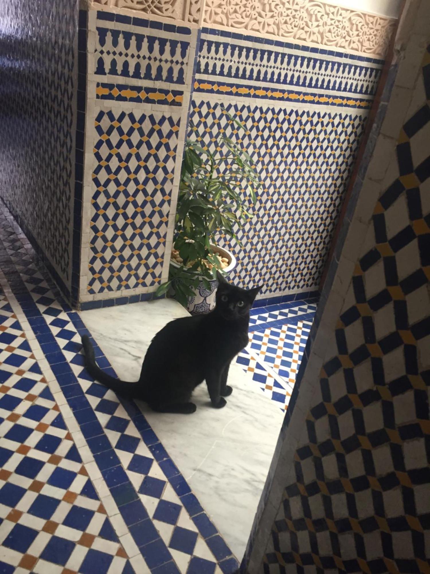 Dar D'Or Fes Hotel ภายนอก รูปภาพ