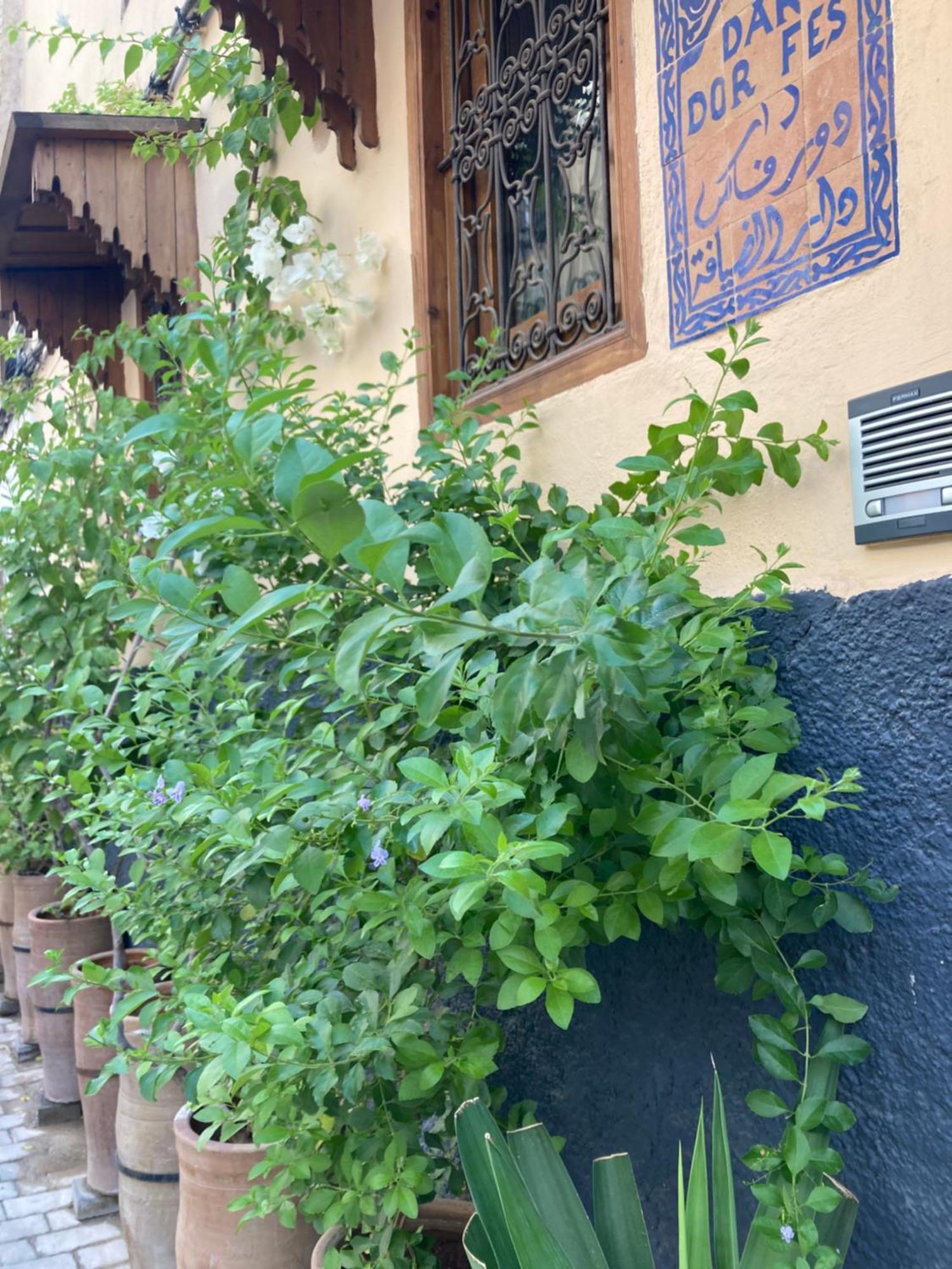 Dar D'Or Fes Hotel ภายนอก รูปภาพ